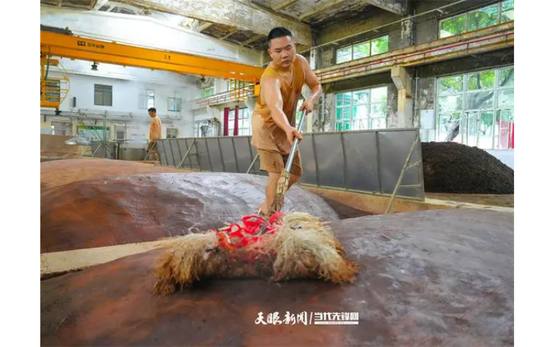 視覺茅臺｜茅臺酒五輪次：品質(zhì)背后的匠心與堅守