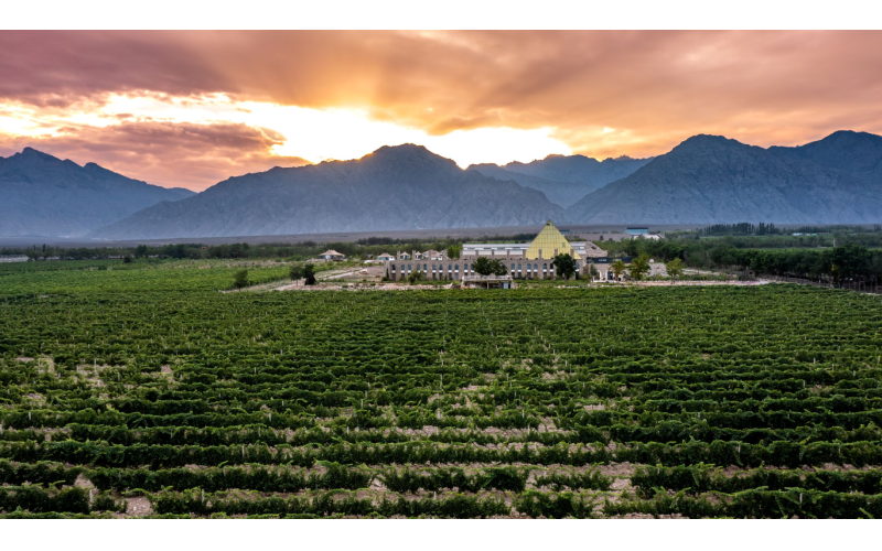 賀蘭山東麓首家葡萄酒主題游牧營地開營